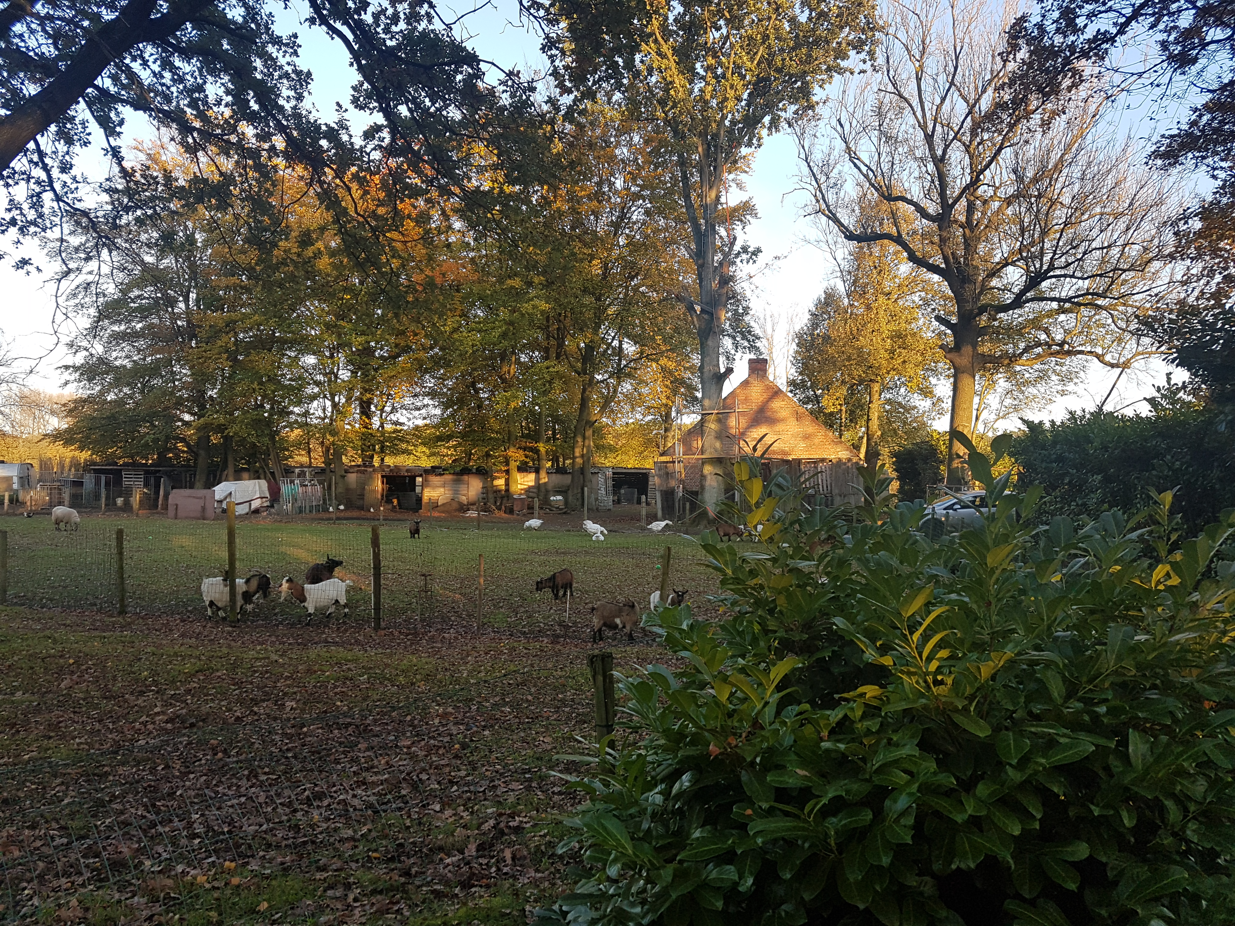 Heiaart.be Boswachterwoning