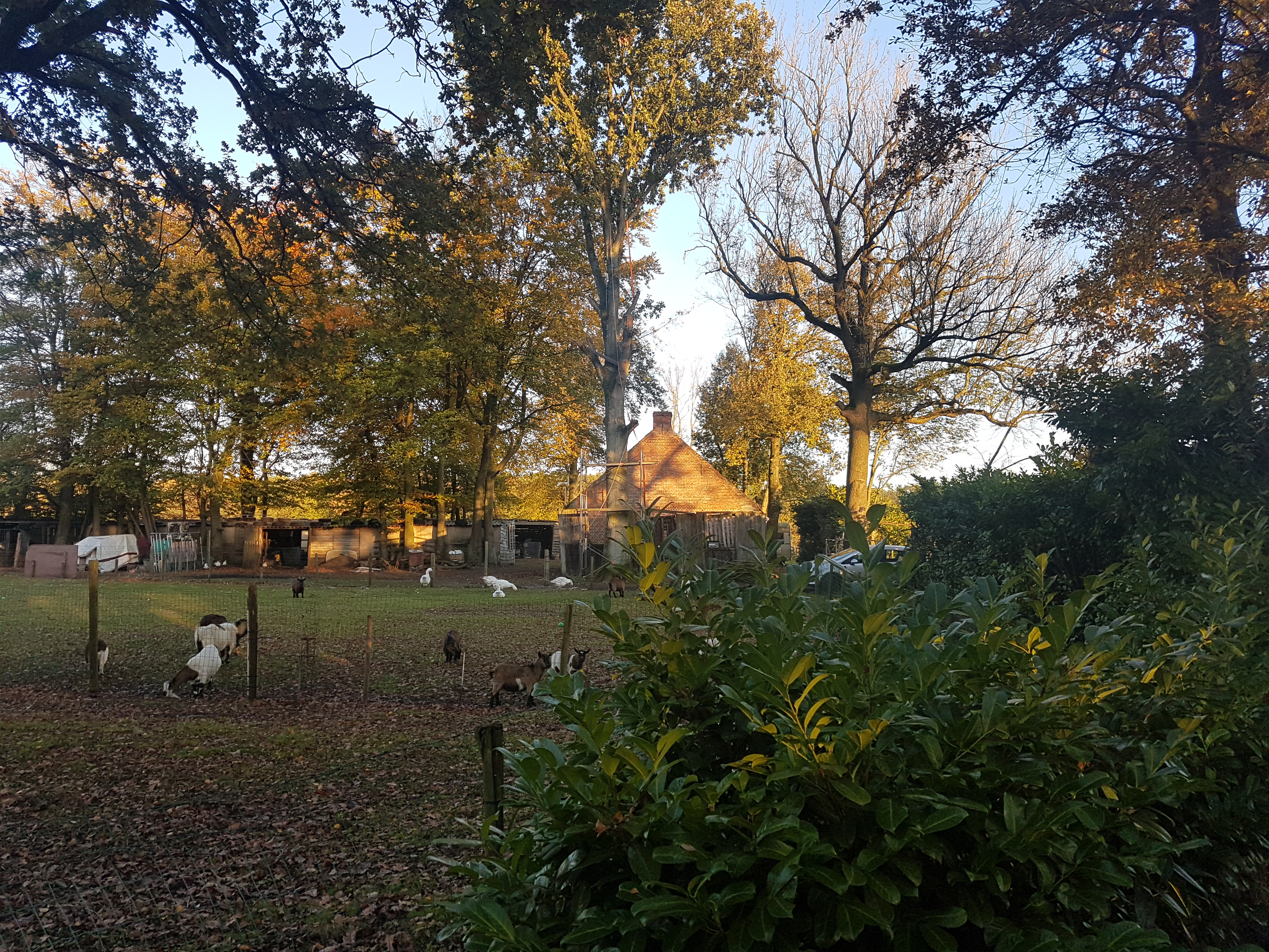 Heiaart.be Boswachterwoning